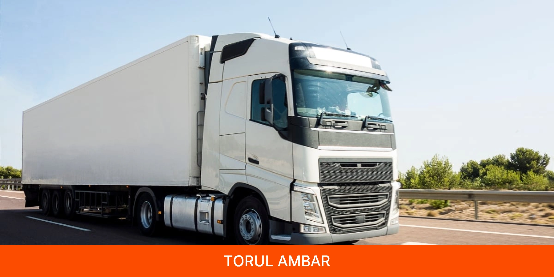 Torul Ambar