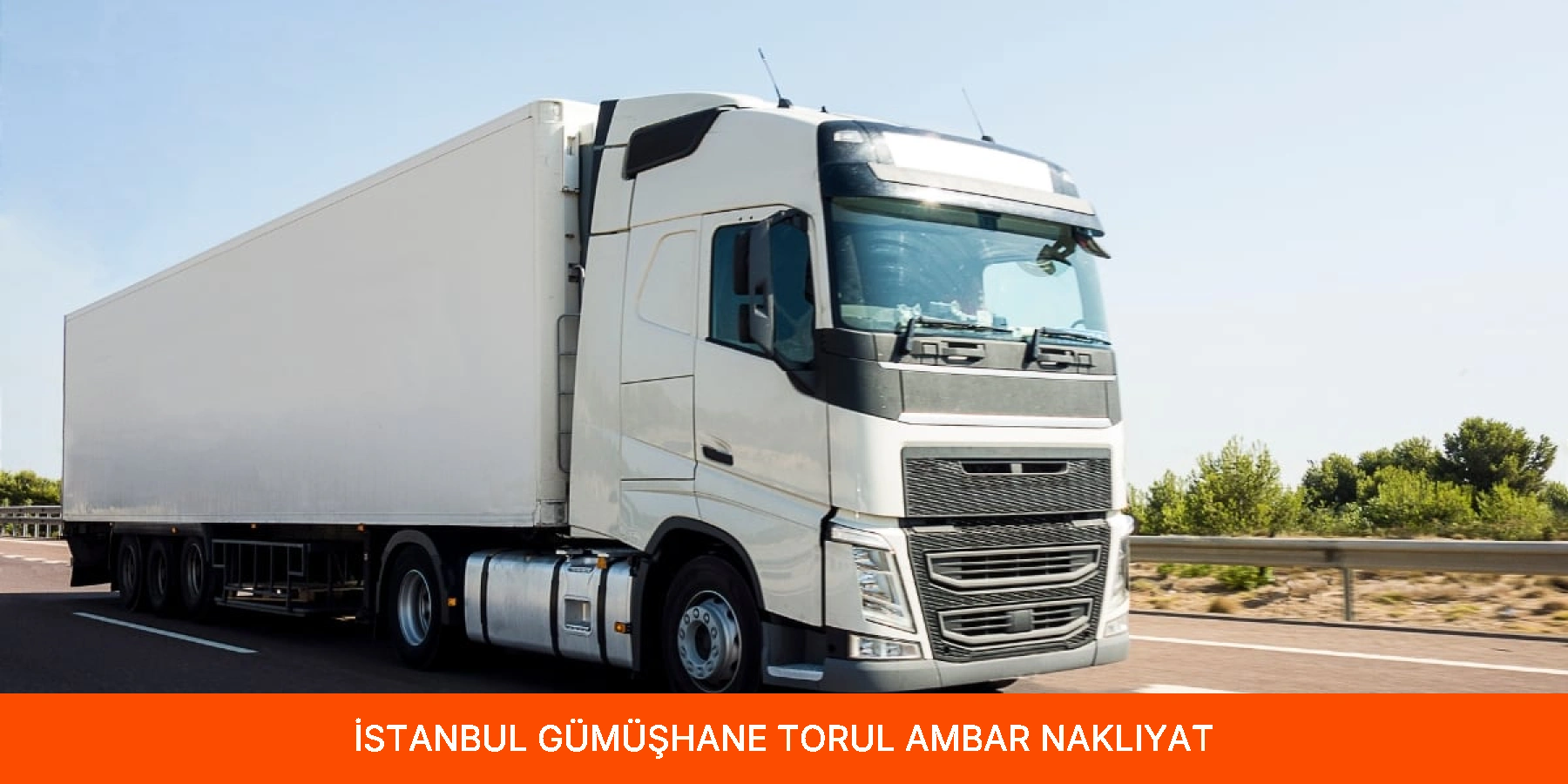 Torul Ambar