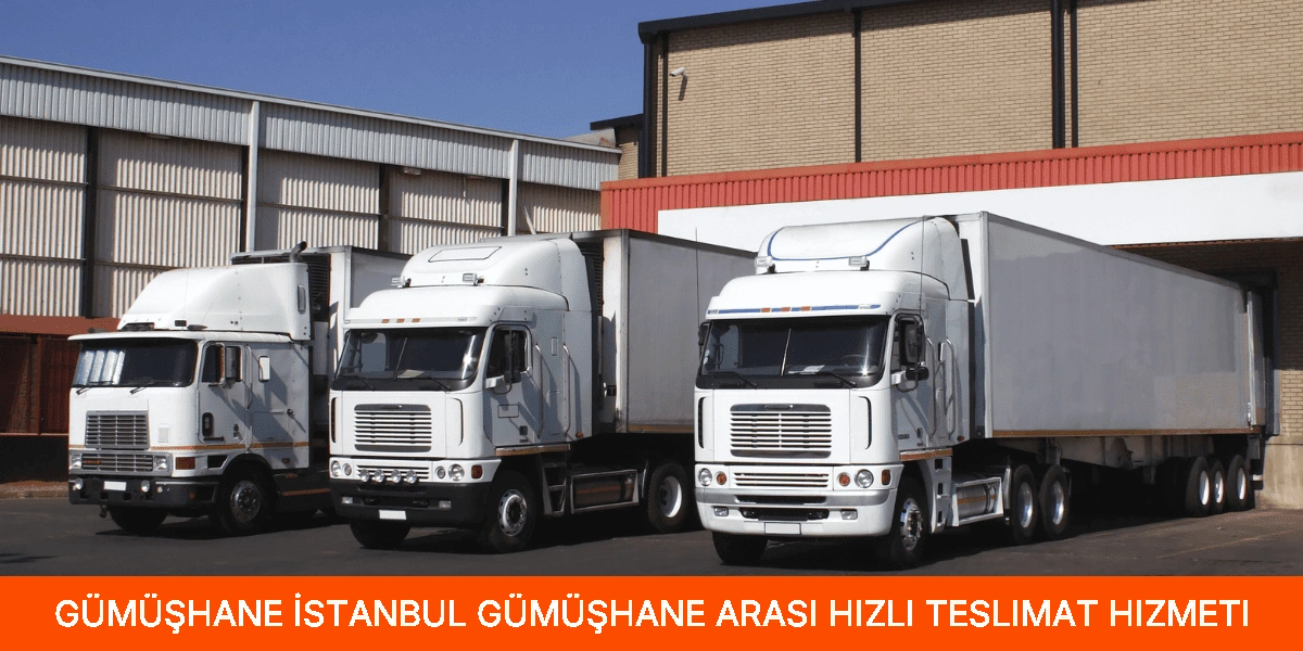 İstanbul Gümüşhane Arası Hızlı Teslimat Hizmeti