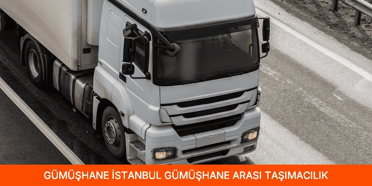 İstanbul Gümüşhane Arası Taşımacılık