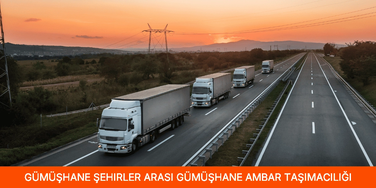 Şehirler Arası Gümüşhane Ambar Taşımacılığı
